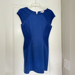 Blue Body-con Mini Dress